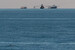 Vaquita with fishing vessels