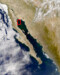 Satellite image: Upper Gulf of California