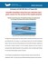 Press Release (English lang): extinction alert for the vaquita porpoise