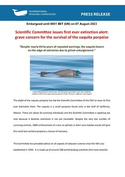 Press Release (English lang): extinction alert for the vaquita porpoise