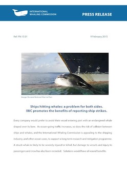 IWC Press Release: Ships hitting whales: a problem for both sides