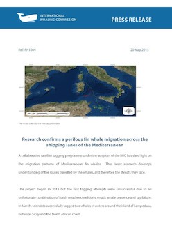 IWC Press Release: Research confirms a perilous fin whale migration across the shipping lanes of the Mediterranean