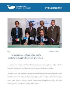 IWC Press Release: Western Gray Whale Memorandum Signing