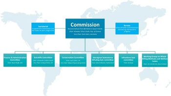 Organisational Chart - November 2022